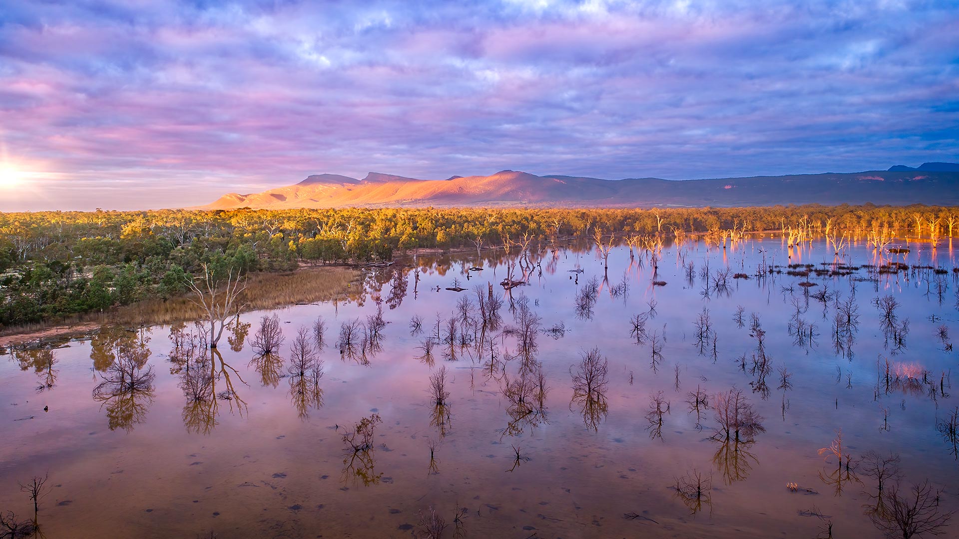 Image Bing de la semaine 36