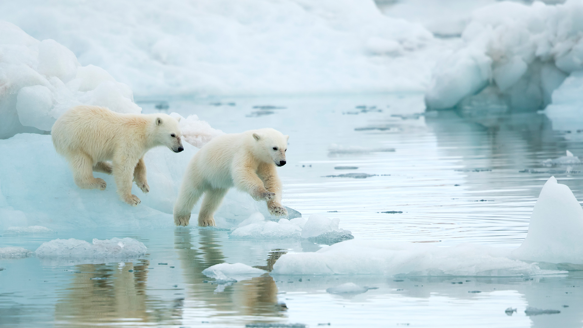Image Bing de la semaine 38